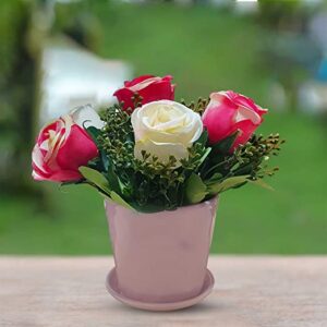 ose (Rosa meldomonac) Flowering/Ornamental Live Plant (Hom